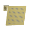 Brass Square Vertical Ceiling Shower 200mm Drop in Brushed Brass