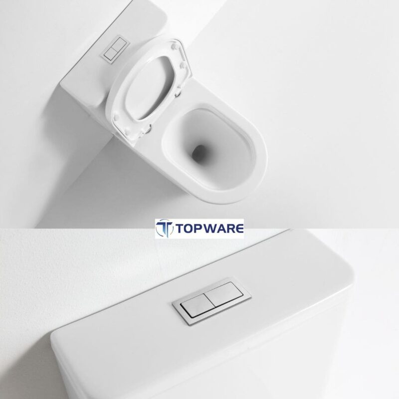 Luna Rimless Back to Wall Universal Toilet Suite - Gloss White