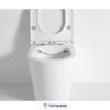 Flow R&T Rimless in-wall Cistern Floor Toilet Package