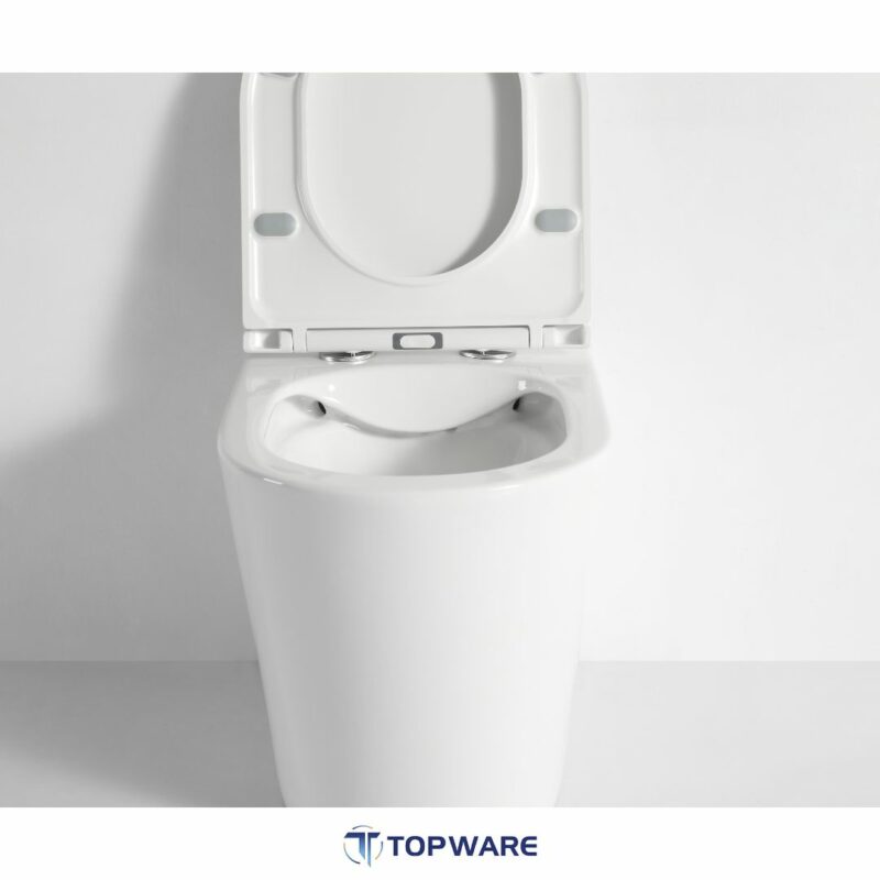 Flow R&T Rimless in-wall Cistern Floor Toilet Package