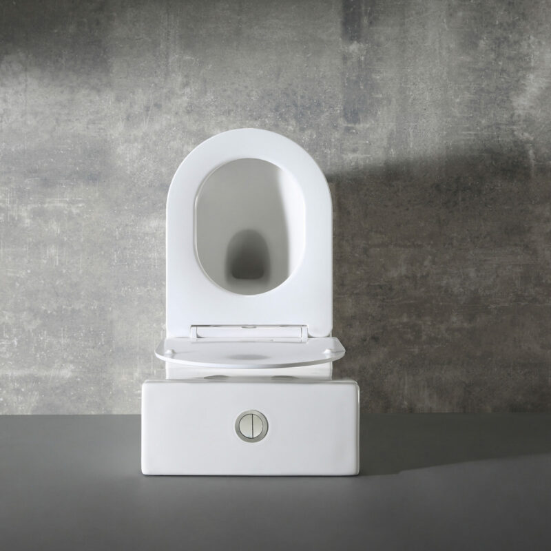 ROYAL Rimless Back to wall Nano Cistern and Toilet Suite - Gloss White