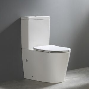 ROYAL Rimless Back to wall Nano Cistern and Toilet Suite - Gloss White