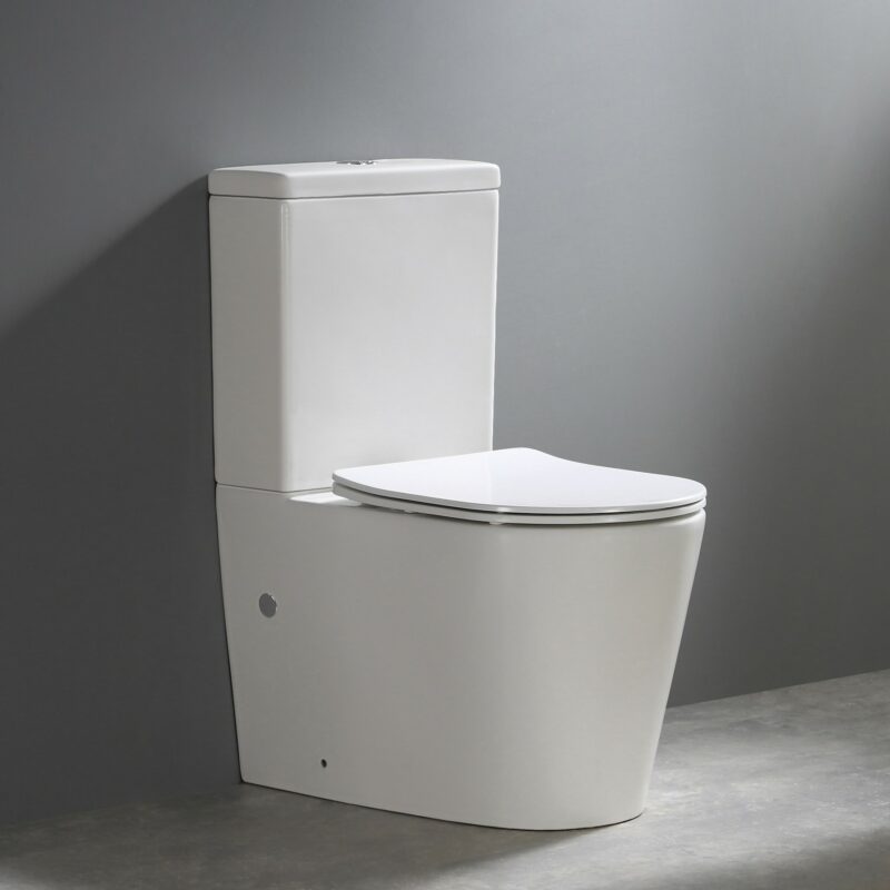 ROYAL Rimless Back to wall Nano Cistern and Toilet Suite - Gloss White