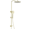ROELEX Multifunction Shower Rail Brushed Brass