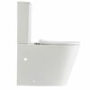 VERA Matte White Tornado-Rimless Back to Wall Toilet Suite