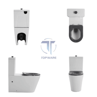 careloo-disabled-toilet-bathroom-commercial-topware-1-311x311