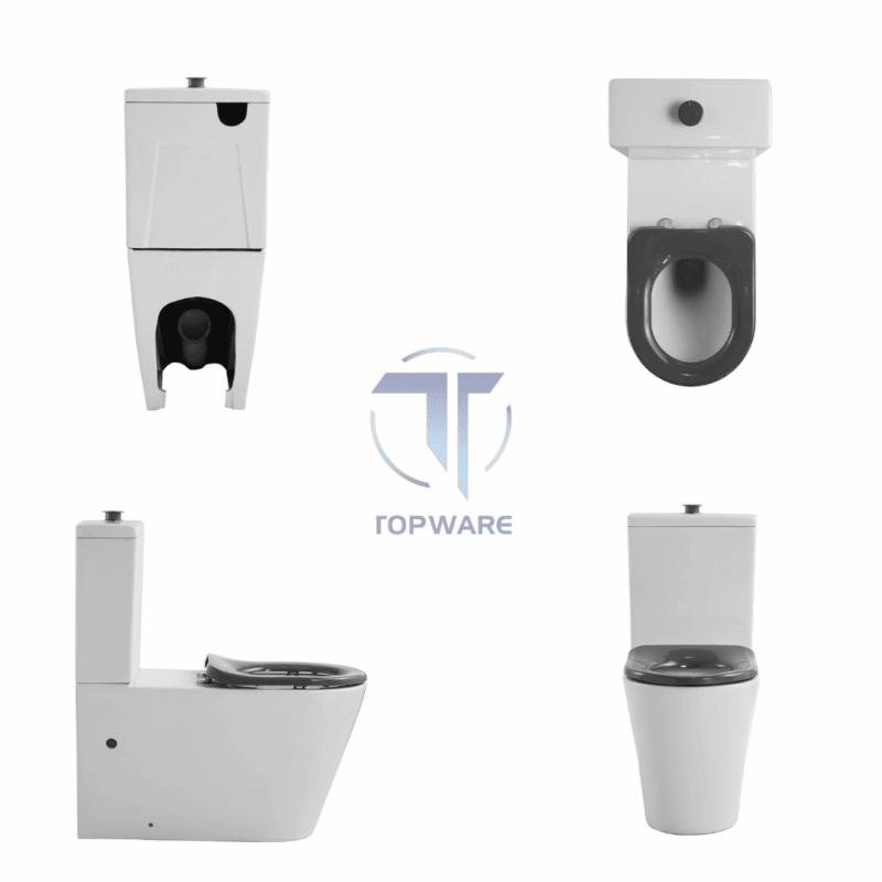 CARELOO Disabled Rimless Back to wall Toilet Suite