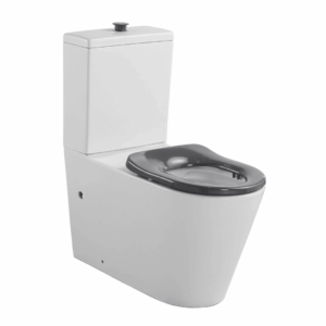 CARELOO Disabled Rimless Back to wall Toilet Suite
