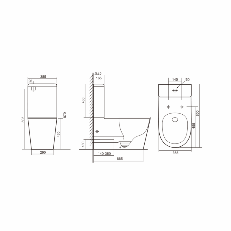 CARELOO Disabled Rimless Back to wall Toilet Suite