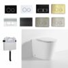 Flow R&T Rimless in-wall Cistern Floor Toilet Package