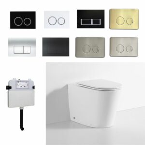 Flow R&T Rimless in-wall Cistern Floor Toilet Package