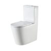 Vienna Comfort Height (460mm pan) Back To Wall Rimless Toilet Suite