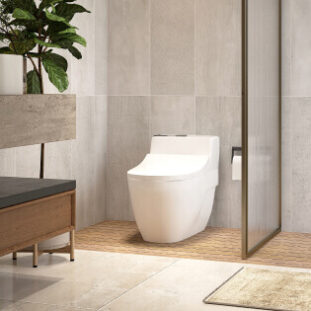 toilets-311x311
